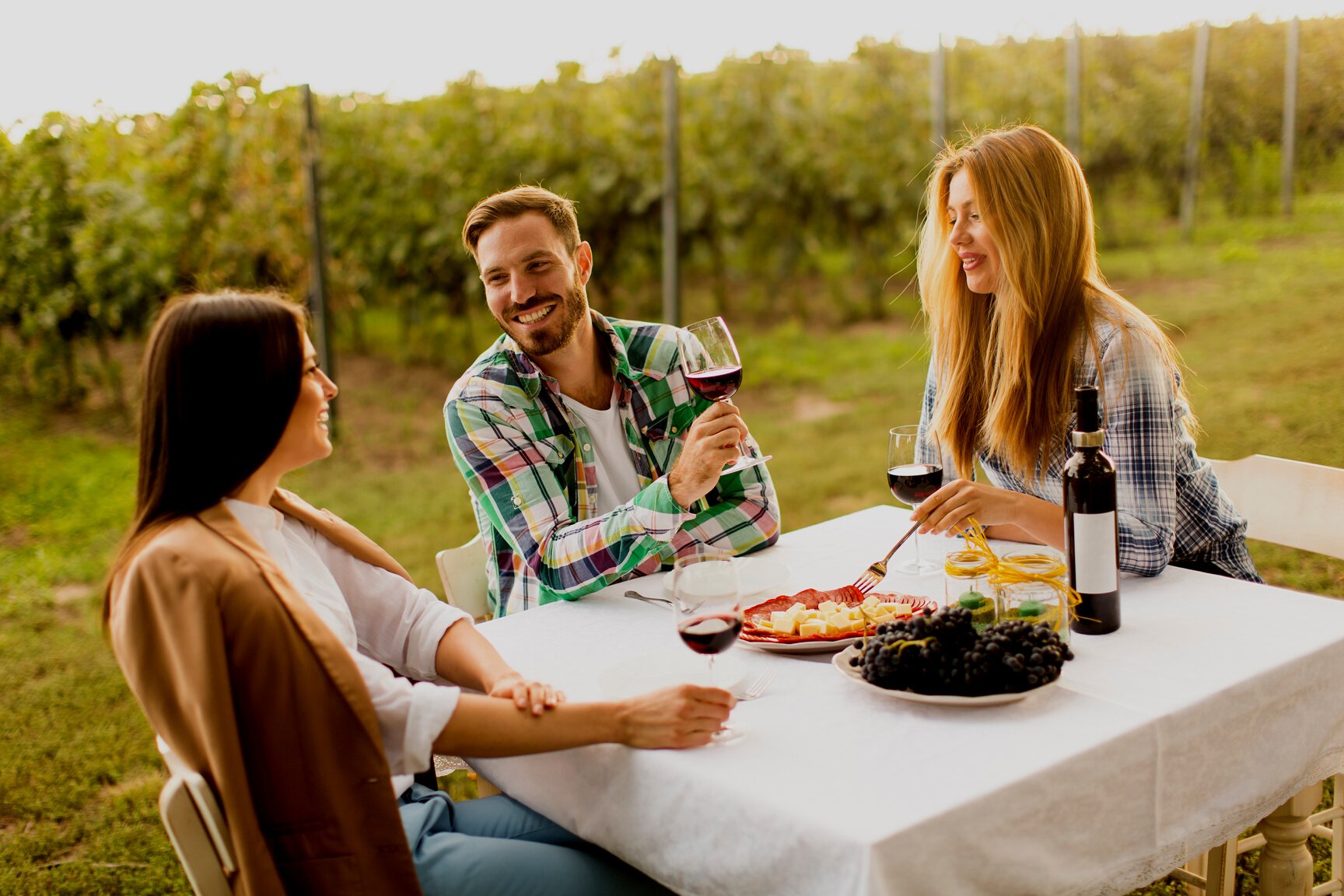 Dinner in Vineyard